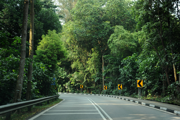 7 Month Haunted Roads In Singapore 04