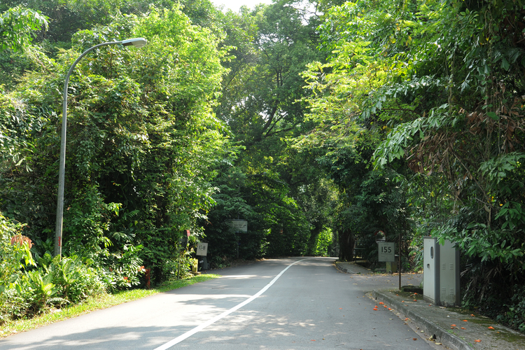 7 Month Haunted Roads In Singapore 03