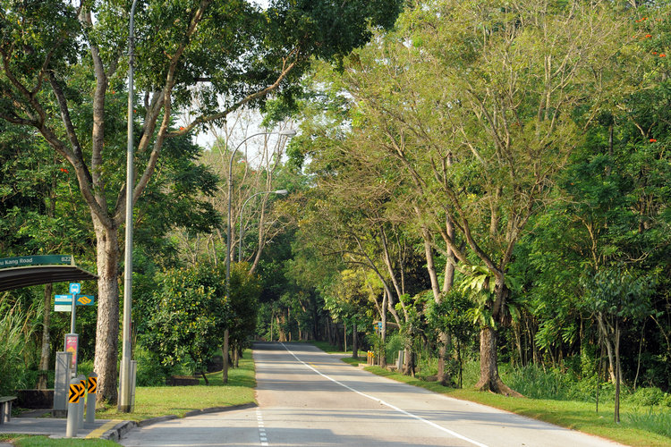 7 Month Haunted Roads In Singapore 01