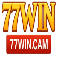 77wincam