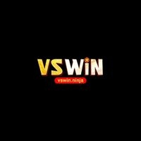 Vswin Ninja