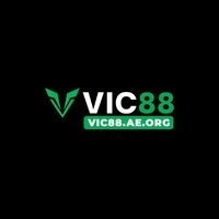 vic88aeorg